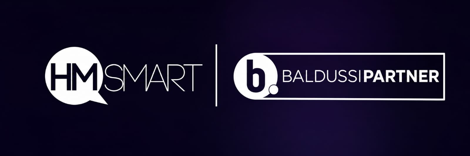 HM Smart — Baldussi Partner